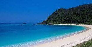 離島チケットについて