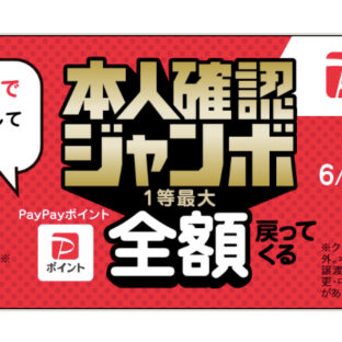 PayPay本人確認ジャンボ 開催|泉州タオル・くまさんのタオル